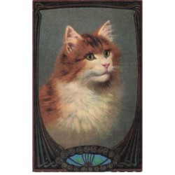 MIKII-002 UN CHAT AU YEUX VERT PAR ILLUSTRATEUR THEO STROEFER'S