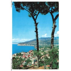 AZRP1-0028-ITALIE - SORRENTO - Entre les Pins