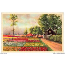 AZRP11-0728-HOLLANDE - Paysage Peint