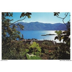 AZRP2-0091-ITALIE - RONCO Sopra Ascona