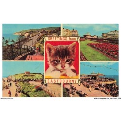 AZRP8-0462-ROYAUME-UNI - GREETING FROM EASTBOURNE