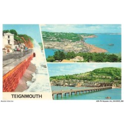 AZRP8-0493-ROYAUME-UNI - TEIGNMOUTH