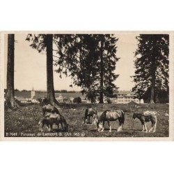 MIKIL-046 SUISSE PATURAGE DE LAJOUX CHEVAUX