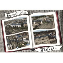 15 MAURIAC AK-DC314 MULTI-VUES LA PLACETTE LE COLLEGE L HOPITAL L EGLISE ET LE GROUPE SCOLAIRE