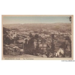 BJ-BFP1-0233-15 - NEUSSARGUES - Vue panoramique