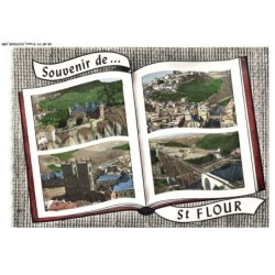 CR-BFP1-0030-15 - SAINT-FLOUR - Le sailhans - Vue générale - La cathédrale - Viaduc de garabit