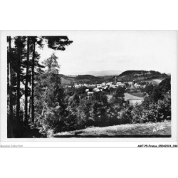AMTP5-0452-15 - NEUVEGLISE - cantal - vue générale et les pins