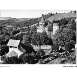 AJIP6-15-0665 - LES TERNES - cantal - église romane et château
