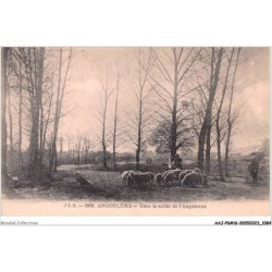 AAJP6-16-0504 - ANGOULEME - Dans la vallée de L'Anguienne