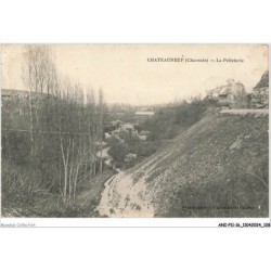 ANIP11-0855-16 - CHATEAUNEUF - la pelleterie