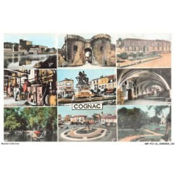 ARFP13-0952-16 - COGNAC
