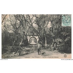 ATUP6-0416-16 - COGNAC - Parc francois 1er - Pont de la route de chatenay