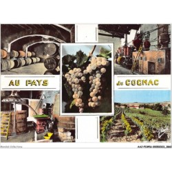 AAJP11-16-0893 - Au pays du COGNAC