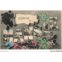 ANIP11-0796-16 - Souvenir de MANSLE