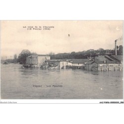 AAJP1-16-0028 - COGNAC - Les Moulins