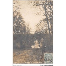 AAJP1-16-0031 - COGNAC - Le Pont du parc