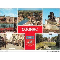 AMHP3-0221-16 - COGNAC - charente - vue générale