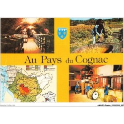 AMHP3-0224-16 - en charente - au pays du COGNAC - le chais - les vendanges - la carte du cognac - une distillerie