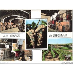 ALWP1-0095-16 - COGNAC - au pays du cognac - le chai de réserve