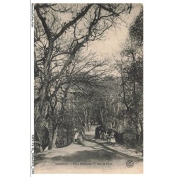 AWYP3-0170-16 - COGNAC - Parc François 1er - Sur le pont