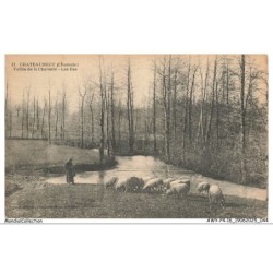 AWYP4-0257-16 - CHATEAUNEUF - Vallée de la charente - Les iles