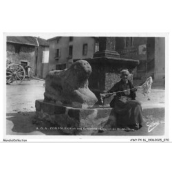 AWYP4-0270-16 - CONFOLENS et ses environs - Le lion de saint-maurice