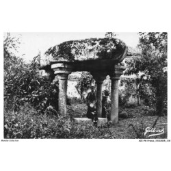 AZIP8-0758-16 - Saint-Germain de Confolens - Le dolmen