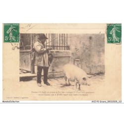 AYZP2-0187-16 - Coume i l'é jholit et coume je l'ai bein souégné - O m'f rait uasiment autant d'peine - Cochons