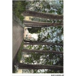BB-BFP1-0046-16 - MONTIGNAC-CHARENTE - Allée des Platanes