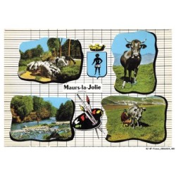 BJ-BFP1-0241-15 - MAURS-LA-JOLIE - Souvenir du Cantal et d'Auvergne