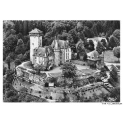 BJ-BFP1-0253-15 - POLMINHAC - Le chateau de pesteils