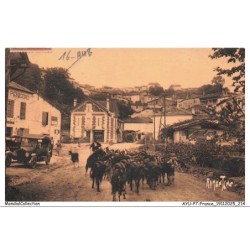 AYUP7-0588-16 - AUBETERRE - Vers l'hotel du périgord - Troupeau