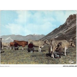 AFEP3-15-0198 - Paysage d'auvergne - l'heure de la traite en montagne