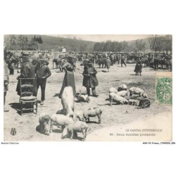 ANOP2-0093-15 - le cantal pittoresque - deux familles prosperes
