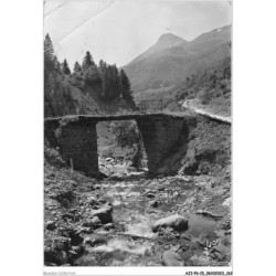 AJIP6-15-0633 - LE LIORAN - cantal - le cère et le puy griou