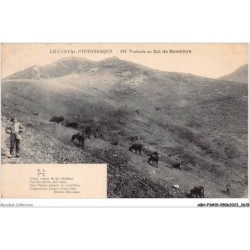 ABHP3-15-0222 - Le Cantal Pittoresque - Vacherie au col de ROMBIERE