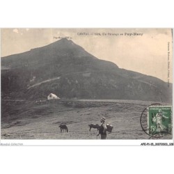 AFEP1-15-0065 - Cantal - 1314 - un pâturage au PUY-MARY