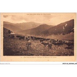 AFEP1-15-0071 - Les plus jolis sites de l'auvergne - une vacherie dans les pâturage des montagnes du lioran