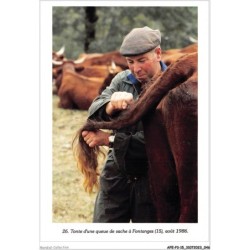 AFEP3-15- 0176 - tonte d'une queue de vache à FONTANGES - 15 août 1986