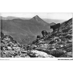 ABHP3-15-0237 - Cantal - Le Puy-Griou - Vu des Flancs du PUY-MARY