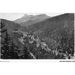 ABHP5-15-0469 - LE LIORAN - Vue d'ensemble - Au fond le Puy-Griou