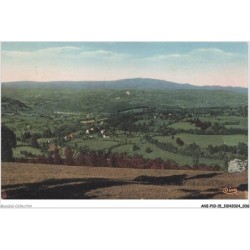 ANIP10-0743-15 - Environs de RIOM-ES-MONTAGNES - Vue prise du col de la Besseyre