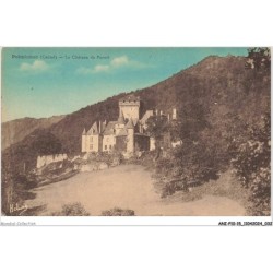 ANIP10-0741-15 - POLMINAHC - Le chateau de Pesteil
