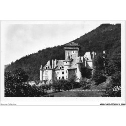ABHP1-15-0044 - Environs de VIC-SUR-CERE - Château de Pestel