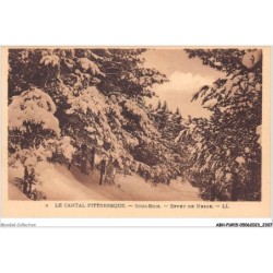 ABHP1-15-0068 - Le Cantal Pittoresque - Sous-Bois - Effet de Neige