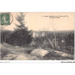 AFEP1-15-0010 - Ancien monastère de la pierre qui vire - vue dans les bois