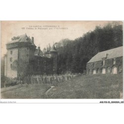 ANIP10-0785-15 - LA CANTAL PITTORESQUE - Chateau de Palmont - pres FONTAGES