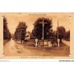 ABHP7-15-0635 - PLEAUX - La Fontaine de l'Arbre et le Jardin