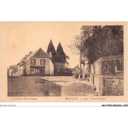 ABHP7-15-0628 - PLEAUX - Les treize-Vents