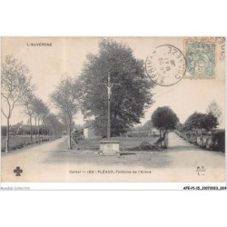AFEP1-15-0013 - L'AUVERGNE - cantal - 183 - PLEAUX - fontaine de l'arbre